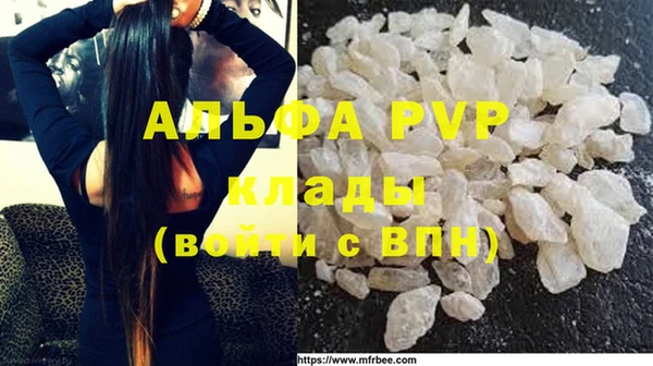 СК Аркадак